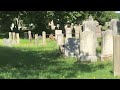 Coyote sighting in North Burial Ground, Providence RI