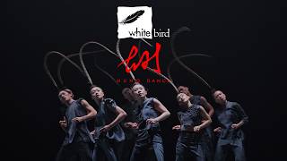 White Bird Presents: Hung Dance