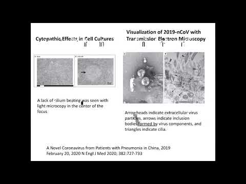 The Coronavirus Pandemic