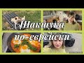 Шакшука по-еврейски,неприятности у Сабрины,закупка,цены растут,как варенье?моя работа,сумки в дороге