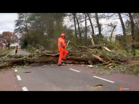 Enorme boom omgewaaid door hevige wind aan de Voske in Baarle-Nassau (2016-11-20)