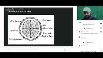 BMC 40 👉 TIMBER -II Structure of tree 🎄🌴 in detail explanation with figure by Jaspal sir #civil 