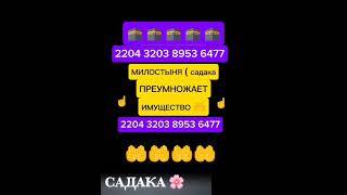 как сказал пророк Мухаммад