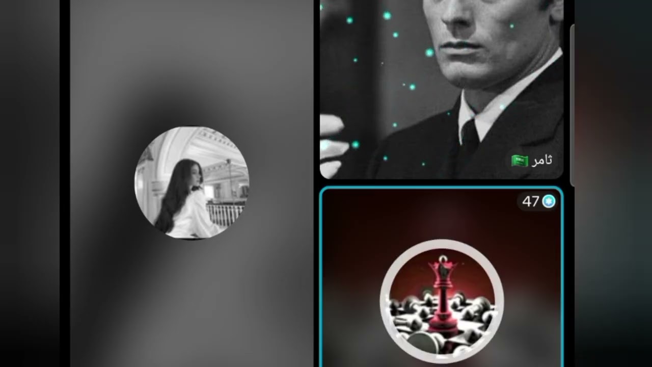 تامر  و محللين يفجران اللايف قسمة ونصيب فرصة تانية