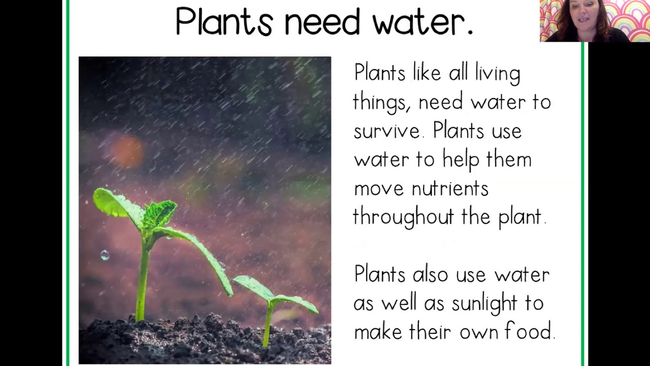 Plant Needs YouTube