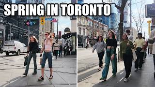 Queens Park to the CN Tower | Toronto Spring Walk (DJI Pocket 4)
