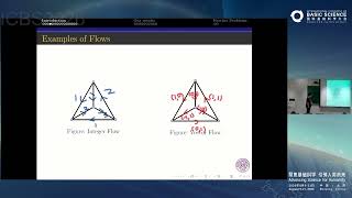 Jiaao Li: Integer flows and vector flows of graphs #ICBS2026