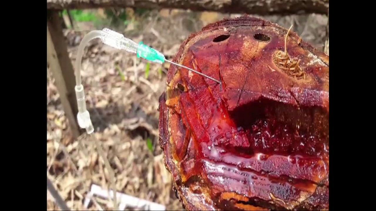 environmental art projects-MEENA