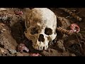 What Happens To The Human Body After Death The Journey Of Decomposition Inside The Grave Step B 