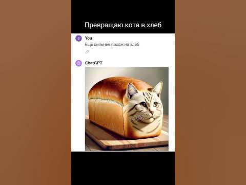 Кот превращается в хлеб - YouTube