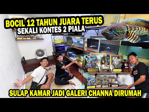 BOCIL 12 TAHUN JUARA GC? KAMAR JADI GALERI CHANNA DI RUMAHNYA  @PANDU MONTOGEN