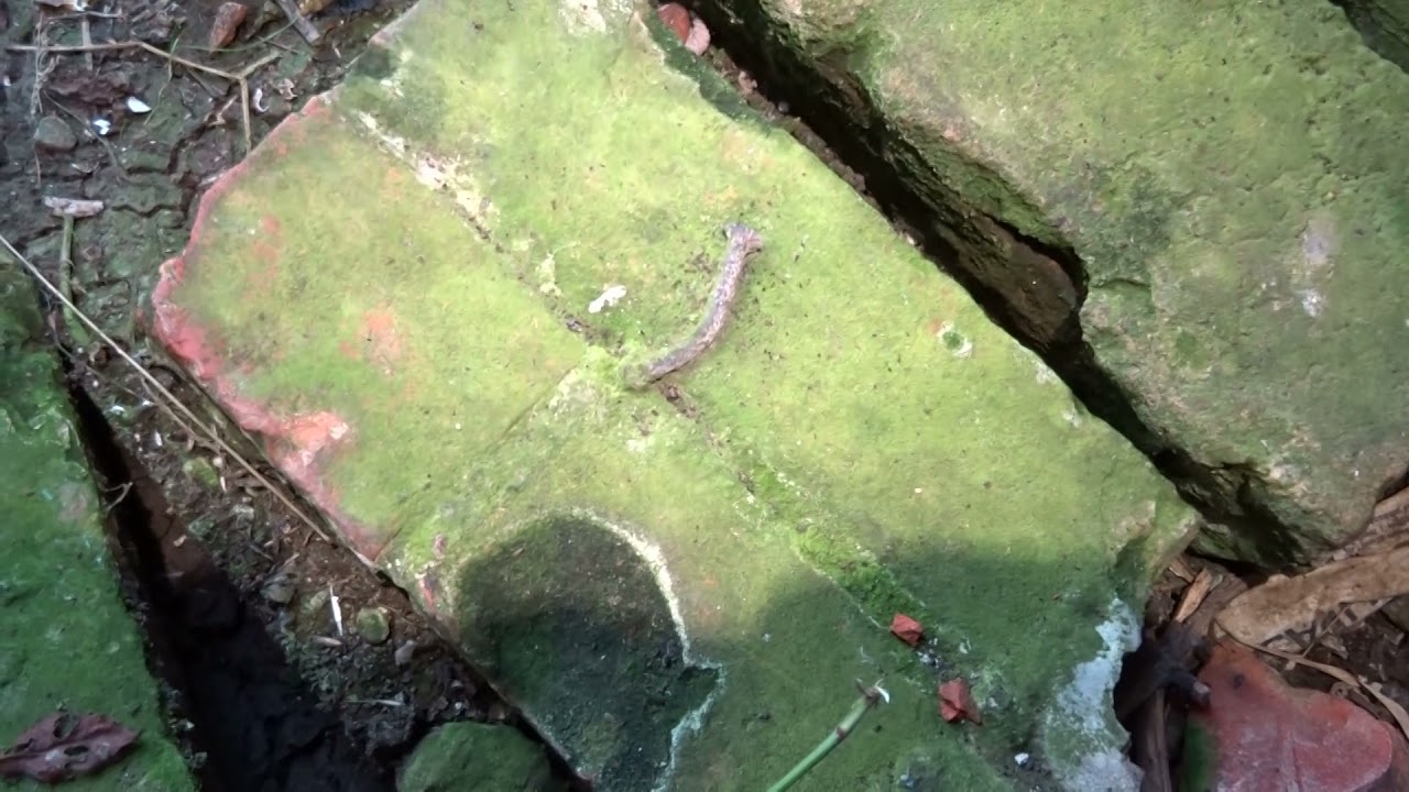 PILLBOX (TYPE FW3/24): S0011869 (Extant)