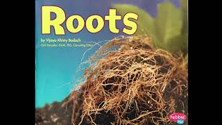 Roots by Vijaya Khisty Bodach