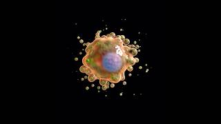 Cell secreting vesicles