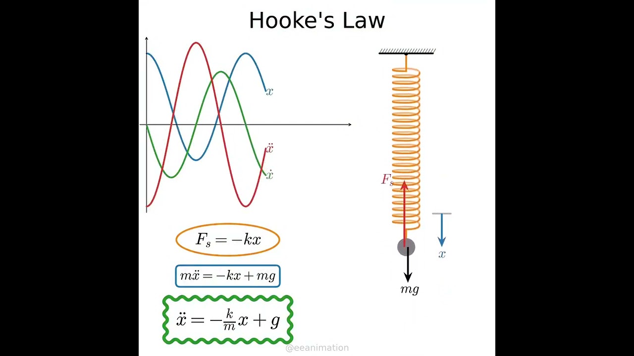 Hooke's Law 