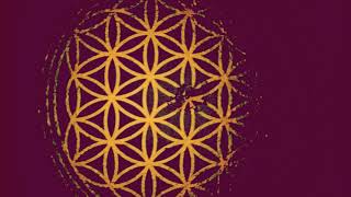 RESTORE YIN JING (TCM) | MAGNETO-DIELECTRIC (SCALAR) FIELDS