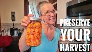 My Top 4 Ways | Preserving Carrot Harvest