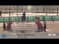 Stangelova Monika Concilante Standard LM 130cm...