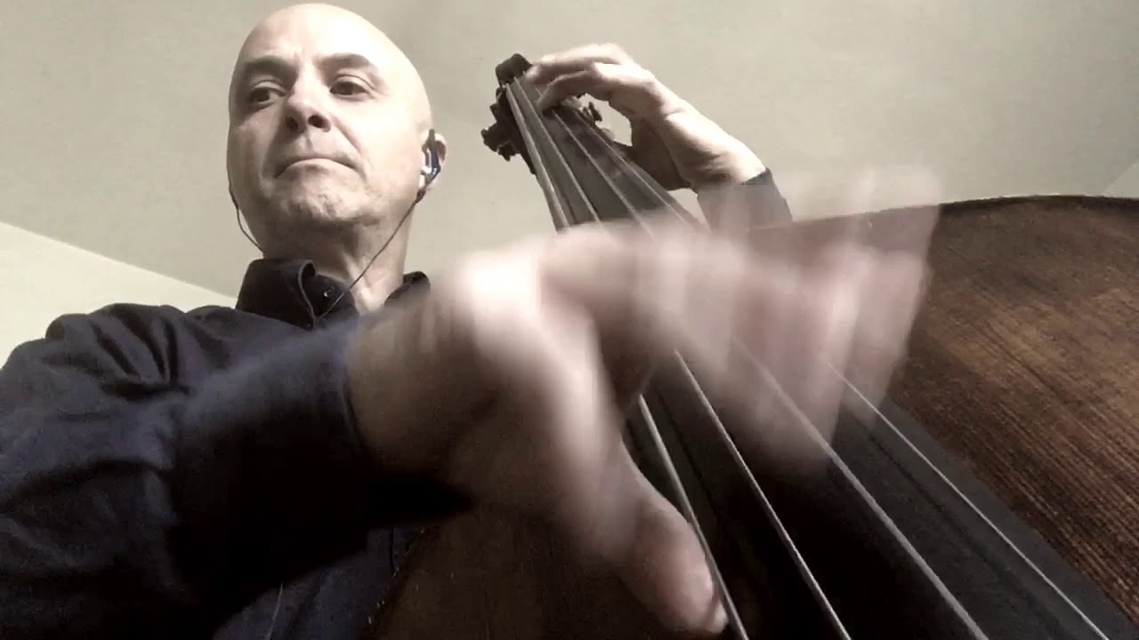 My Little Suede Shoes Bass Line Play Along Backing Track