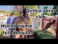Horse name full details qutbia abrar club beautiful horse  qutbia house