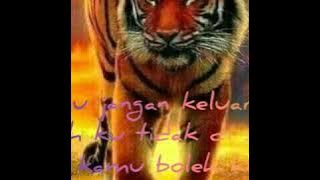 Status WA kidung wahyu kolosebo versi macan
