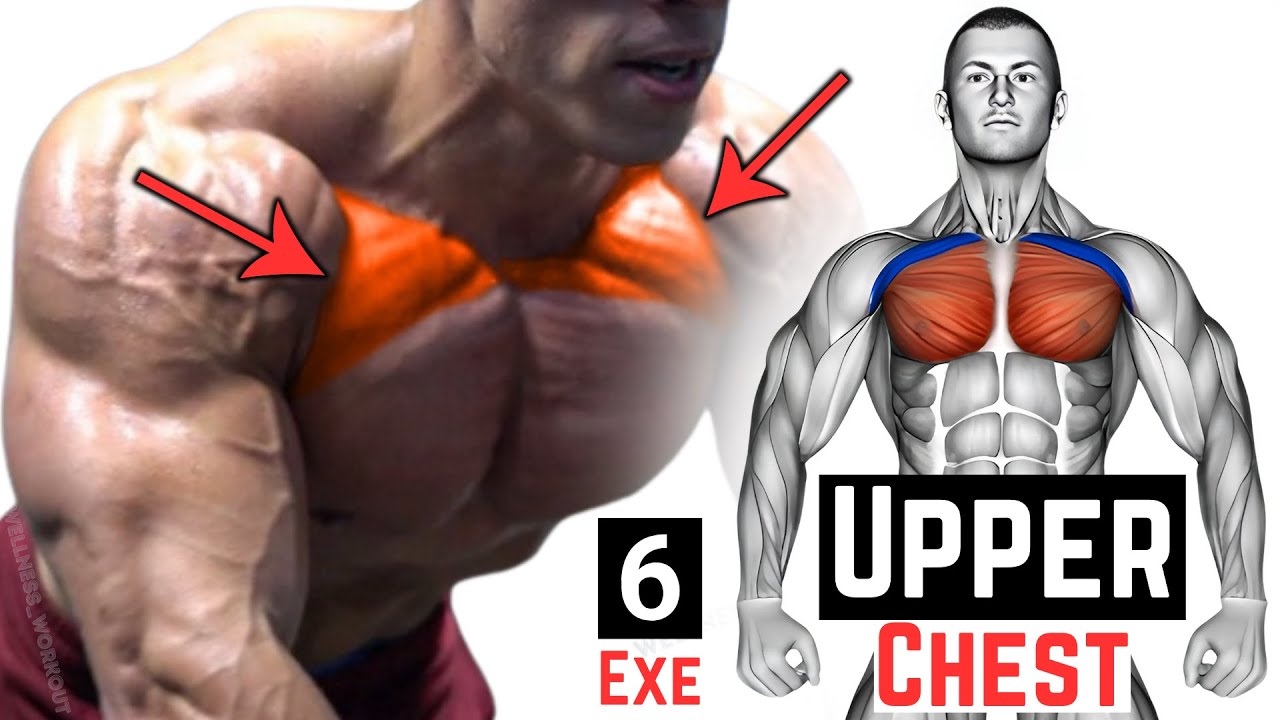 Best Upper Chest Workout for Mass | Build Bigger Chest - YouTube