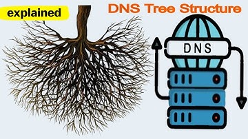 DNS Tree Structure - What is DNS Tree Structure | DNS Hierarchy | Domain Hierarchy | TLD DNS Root