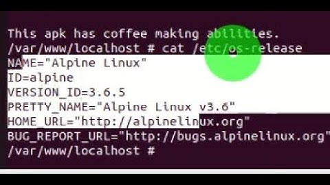 Check alpine linux version in running container