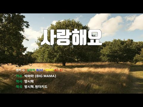 [은성 반주기] 사랑해요 - 빅마마(BIG MAMA)