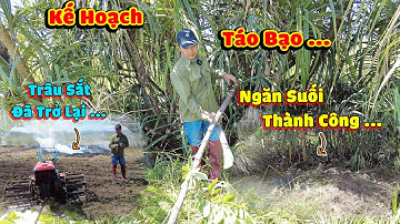 Thế Nhân || Kế Hoạch Ngăn Dòng Suối Để Chủ Động Nguồn Nước Tưới Cho Cánh Đồng Lúa Liệu Có Khả Thi ?