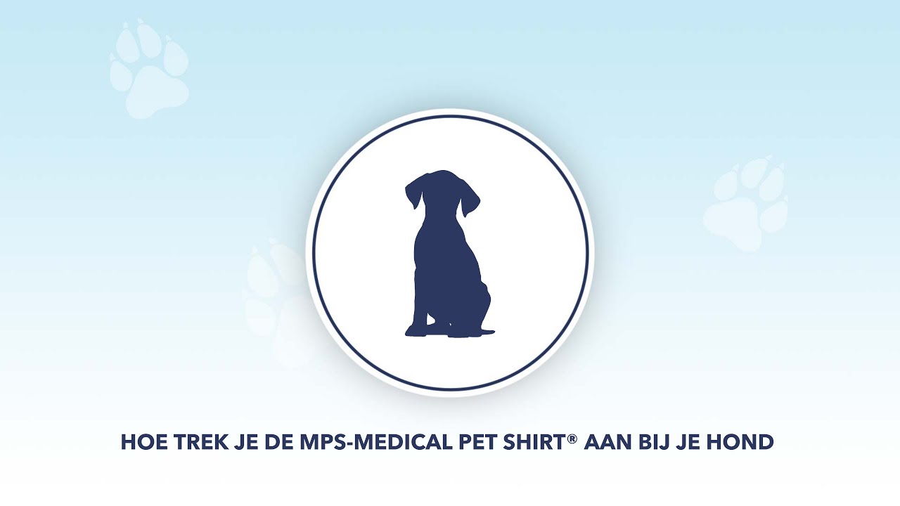 Rijke man hiërarchie Sandy Medical Pet Shirt Hond kopen? Veilig en betrouwbaar bestellen!