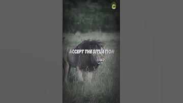 Only two choices #motivation #selfimprovementgoals