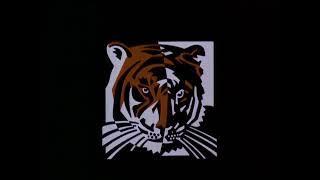 Mandalay Television (1997)