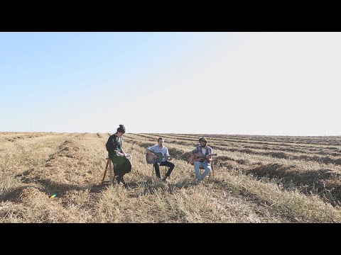 אלון עדר ולהקה בואי נחמה 