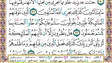 سورة النحل من 27 إلى 42