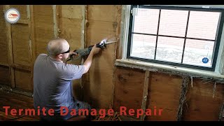 How To Repair Termite Damage in Wall Framing
