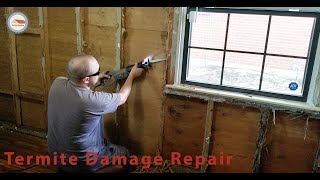 How To Repair Termite Damage in Wall Framing Wealth