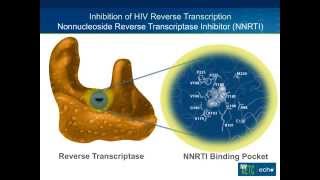 NNRTI Resistance 2015