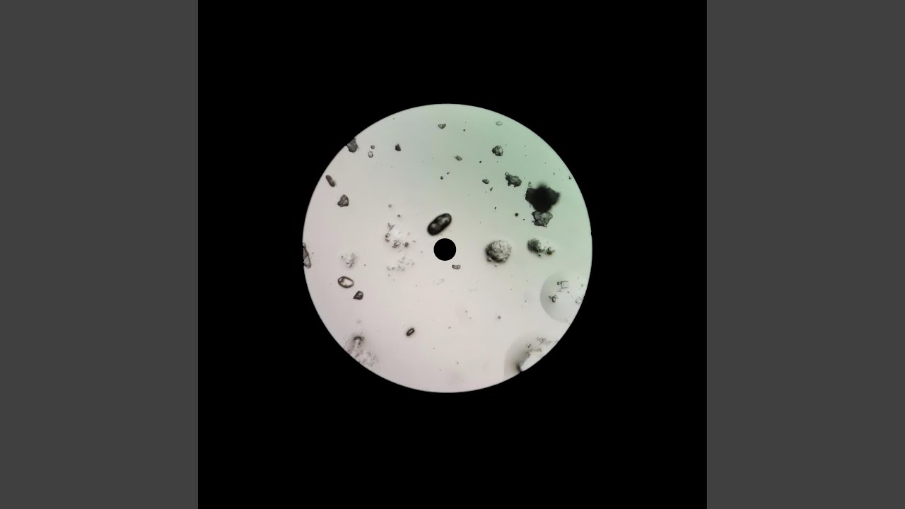 Watch Synesthesia on YouTube Watch Synesthesia on YouTube