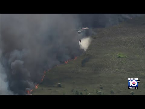 Forest Service team fights growing brush fire overnight in South Florida
