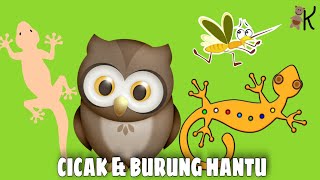 Cicak Di Dinding X Burung Hantu (Matahari Terbenam) | Lagu Anak Populer | Kancaku