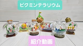 Unboxing the Pikmin Terrarium Collection - YouTube