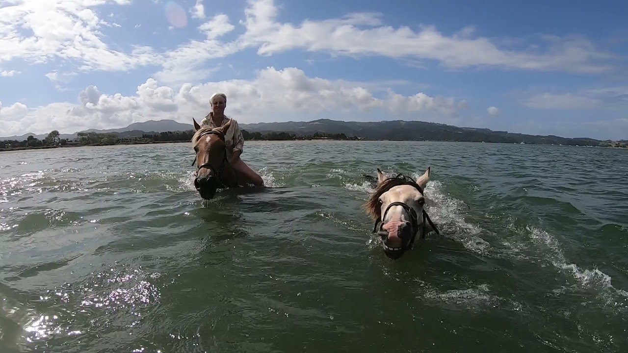 The three best Amigo's that ever lived