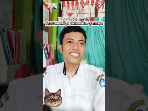 Tebak Tebakan Lucu Ayam Ayam Apa Yang Paling Kecil
