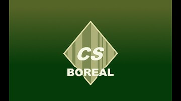 The Boreal Collection Skins (New CS2 01.04.2025)