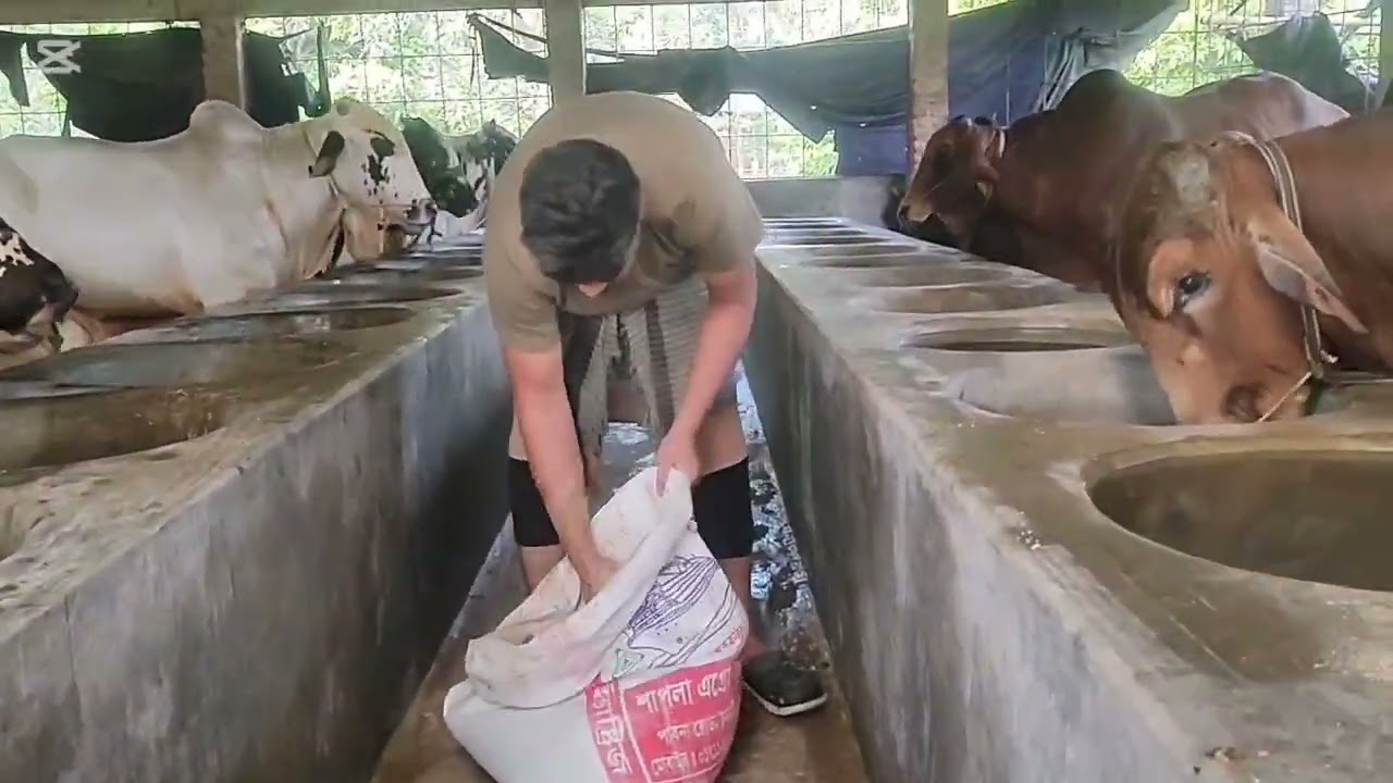 প্রিয় বন্ধুরা আমাদের খাবারের প্রতিদিনের কাজ 