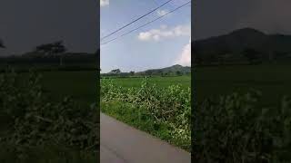 Desa Cigadung Banjarharjo Kab Brebespesawahan Yang Indah