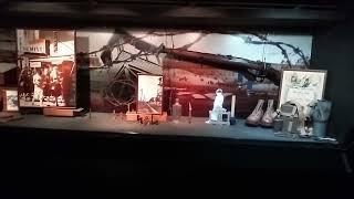 video 20261004 143406