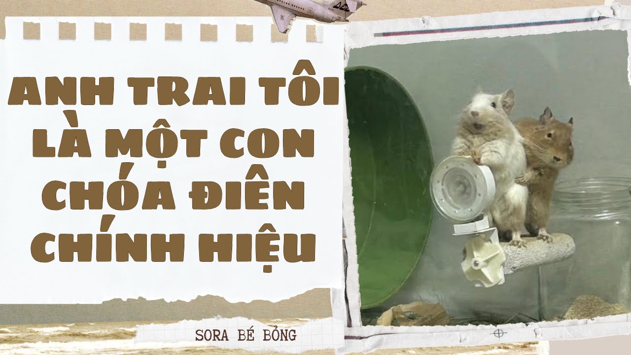 [Truyện Audio ] [FULL] ANH TRAI TÔI LÀ MỘT CON CHÓA ĐIÊN CHÍNH HIỆU || Sora Bé Bỏng