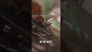 Wall-Es Humanity Why You Relate And How He Impacts Us